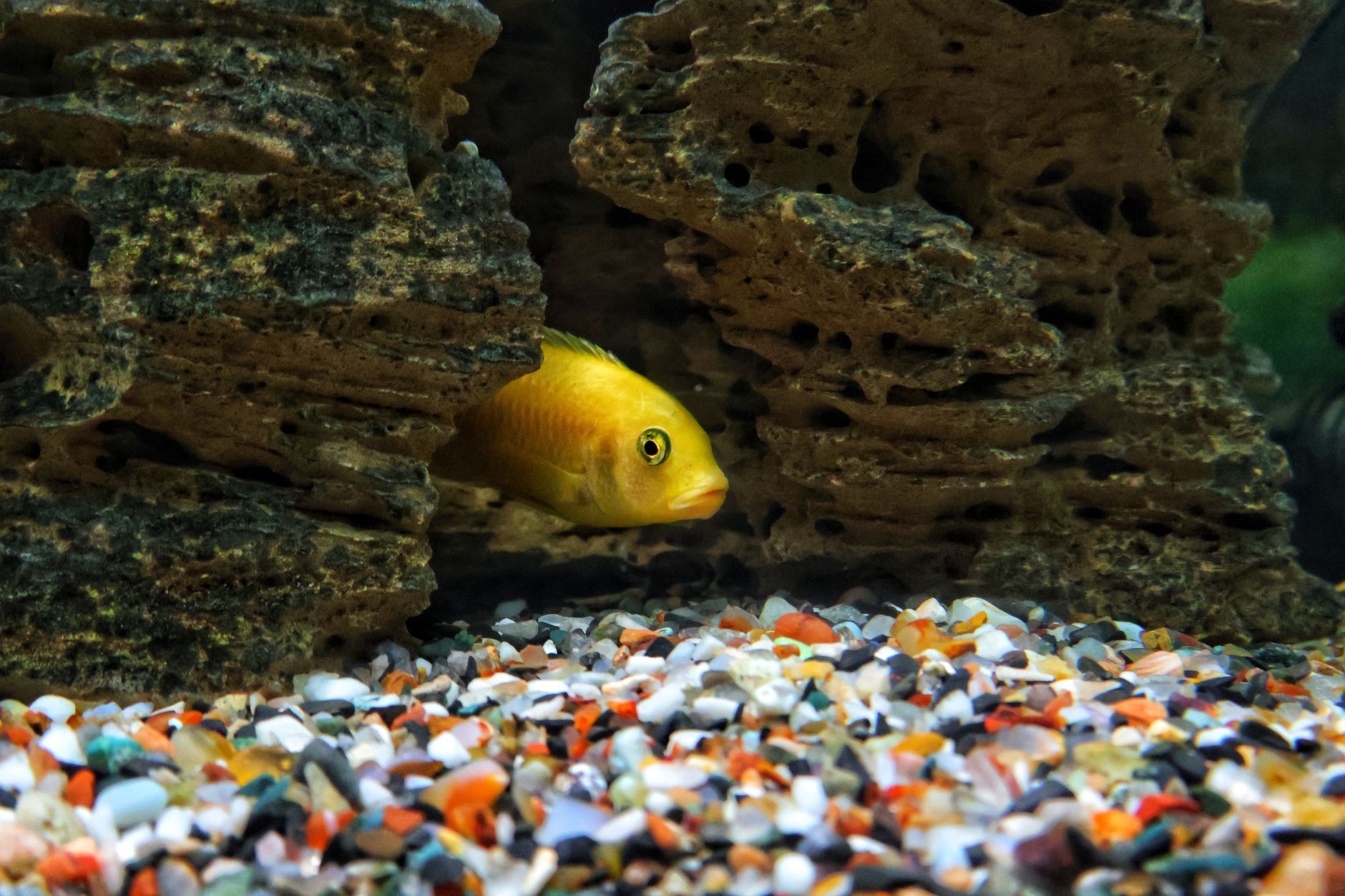Stacked smooth rocks and white sand in an African cichlid aquarium